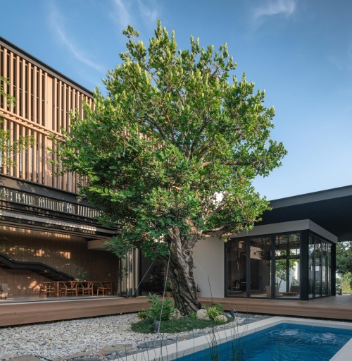 Peacefully Zen Modern Home In Thailand With Courtyards &...