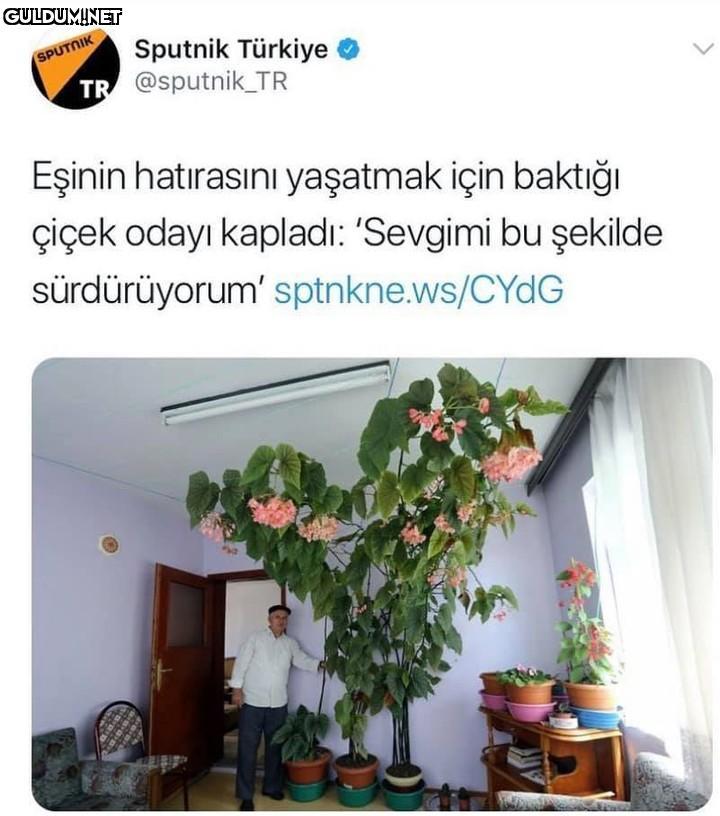 Sputnik Türkiye TR...
