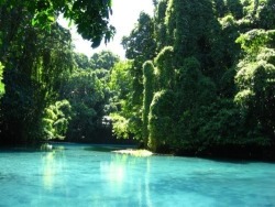 t-iki-oasis:  t-iki-oasis:  enter my tropical paradise    enter my tropical paradise 