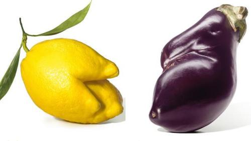 janemba:  fileformat:  sixpenceee:  6 Billion Pounds Of Perfectly Edible Produce Is Wasted Every Year, Simply Because It’s Ugly. (Source)  eggplant on the right is looking so thick ..  I want ugly fruit lets me accept myself easier