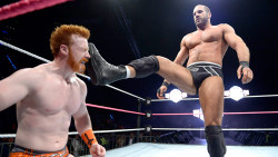 fishbulbsuplex:  Cesaro vs. Sheamus