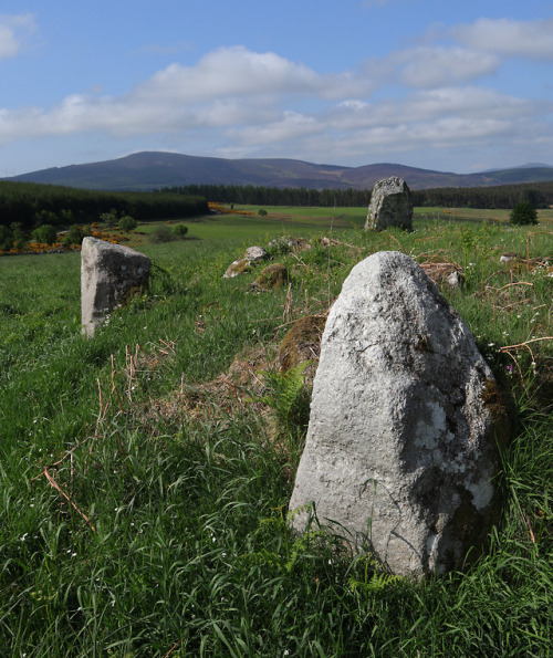 ‘Eslie The Lesser’ Stone Circle, nr Banchory, Scotland, 30.5.18.The last of three stone circles in c
