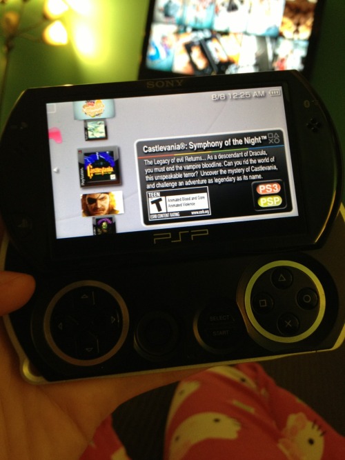 I think the Go is the most brilliant little handheld. It’s download only and such a great design.Hon