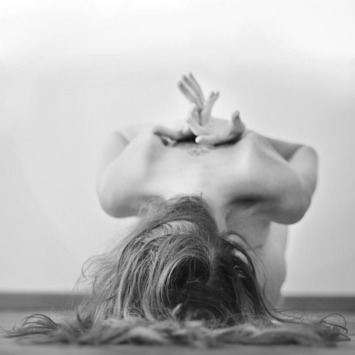 nicoonmars:  lotus by astreia  