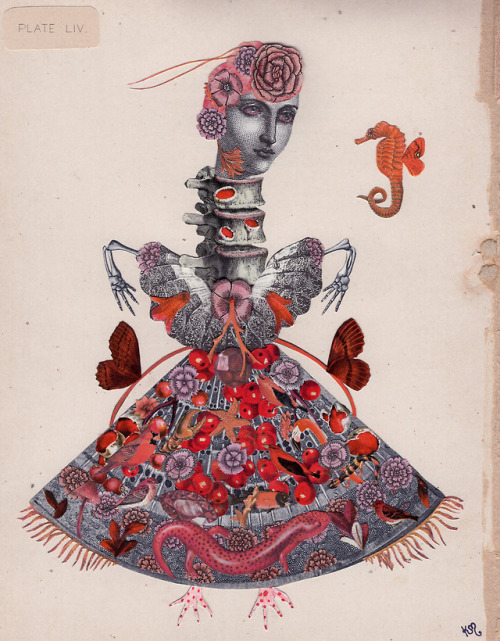Katie McCann (English, b. England, based Berkeley, CA, USA) - 1: Ginger Cat, 2017  2:Scarlet Fever, 