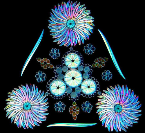 staceythinx: Klaus Kemp makes these beautiful arrangements out of microscopic diatoms. You can lear