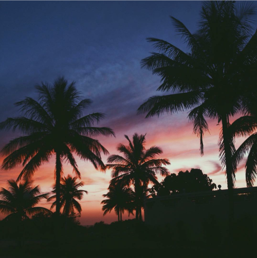 semprecarioca:  🌺🐚 s e m p r e c a r i o c a 🐚🌺 