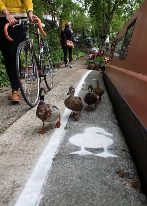 pdl2h: 僕たち専用道路 - そんなあなたに