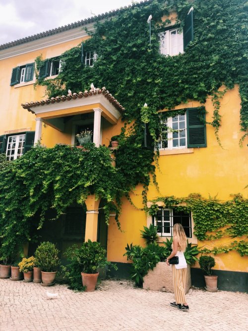Yellow Vibes