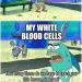 memewhore: