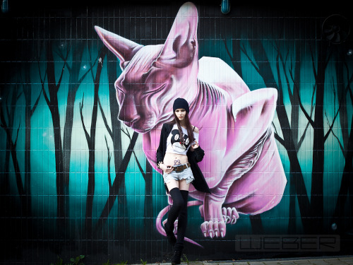 okkvlt: all hail the hairless cats!