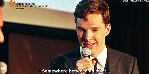 emmagrant01:  corneliapornelia:  (X)  I love how completely he has accepted the otter