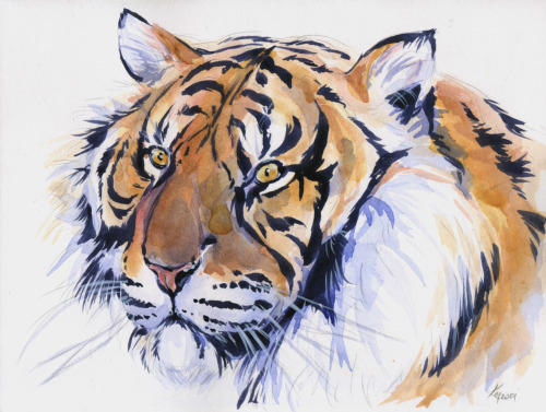 A vibrant little tiger painting, watercolor on hot press 5″x7″