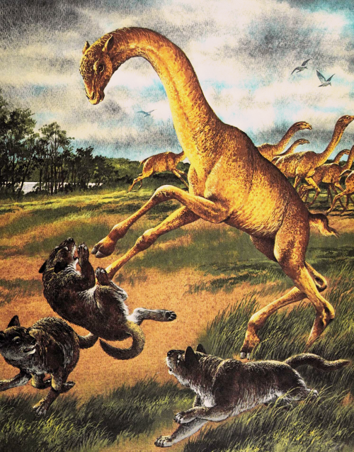 antiqueanimals:Alticamelus and aelurodons from the Album of Prehistoric Animals, 1974, illustrated b