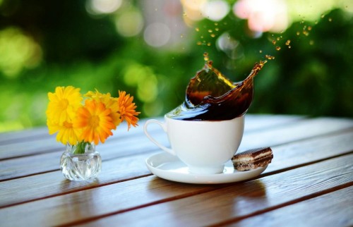 Good morning. Have a great day! 