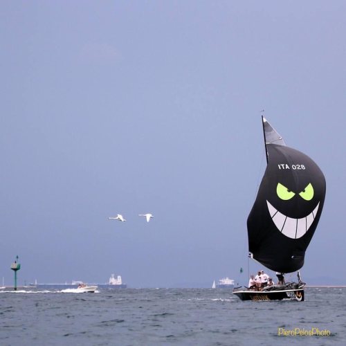 Oggi voliamo ⛵️ now we fly ❤️☮️ #pieropelosphoto #photo #vela #sail #saling #regatta #cdvmuggia #cir