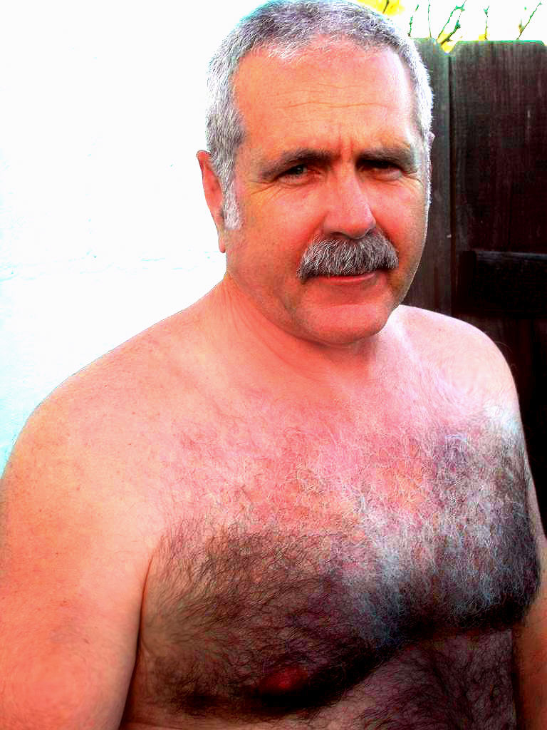 I Love Daddy Bears!