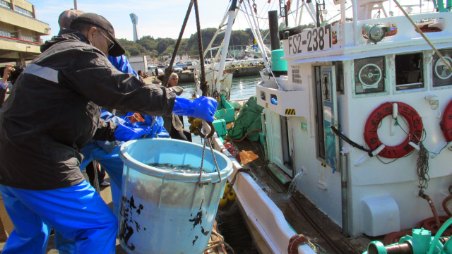 魚棚市場 Explore Tumblr Posts And Blogs Tumgir 魚棚市場 Explore Tumblr Posts And Blogs Tumgir