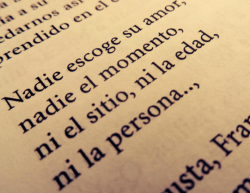 el-final-perfecto:  indirectasdemiparati:   Nadie escoge . .  Francisca yo te amo♥, libro de mierda, lloré con el final u-u  