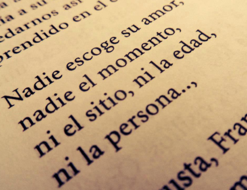 more-smiles-and-cries-less:  el-final-perfecto:  indirectasdemiparati:   Nadie escoge . .  Francisca yo te amo♥, libro de mierda, lloré con el final u-u   yo igual llore :c yo amaba a Gabriel <3 :c 