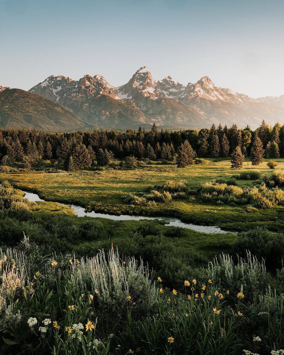 forest-nation:  by Matthew Hahnel
