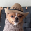 sillylilcowboyhat