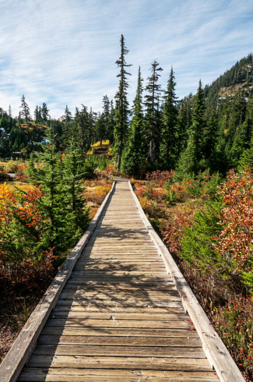 Photography by Visioni ItalianeLocation: Area around Mount Baker Ski Resort, WA, USA If you enj