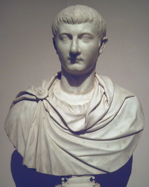Portrait of Drusus Minor (Julius Caesar Drusus), son of Tiberius and Vipsania Agrippina.  Artis