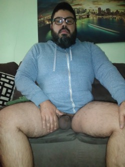 daz_bearded_bear