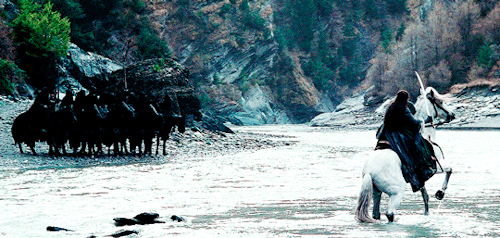 thelordsoftherings:All our hopes now lie with two little hobbits, somewhere in the wilderness.