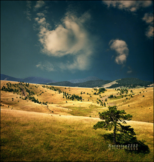 Pick a place for yourself - Zlatibor inspired.. :))) by Katarina 2353 on Flickr.