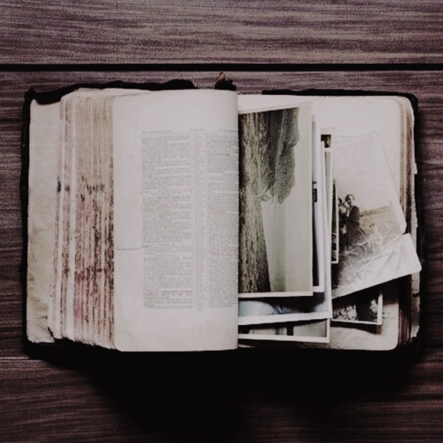 cedrcdiggcry:moodboards: newton artemis fido ‘newt’ scamander