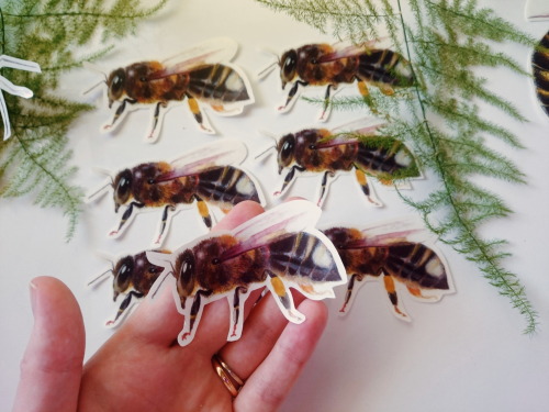 Bee stickers made of original watercolor painting prints, pretty pretty cool!:DEtsy