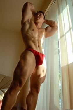 the-swole-strip:  http://the-swole-strip.tumblr.com/  Muscular yes and oh that Bulge is mighty impressive - WOOF