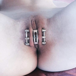 lezlexi:  little sis needs to show off her pierced cunt at least three times a day, I make her show her ex gf what she lost every day