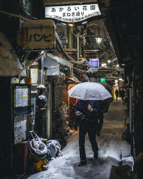 Snow in Shinjukuinstagram : @446iWebsite : https://www.446i-jp.com/