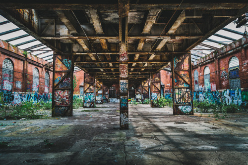 Abandoned Beauty