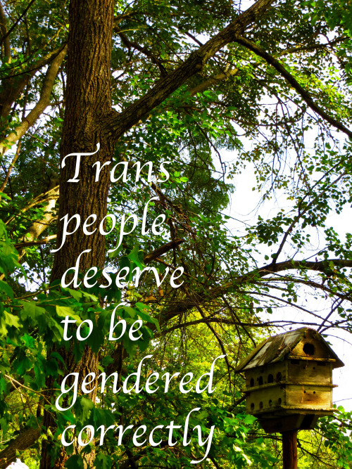 Trans people deserve to be gendered correctly. Trans people do not deserve to be misgendered. The im