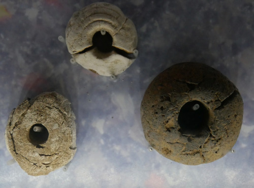 Viking and Anglo-Saxon personal ornamentation and beads, The Museum of East Riding, June 2017