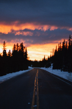 Dearevergreenphotography:sunrise // Mt. Evans, Co #Photographers On Tumblr#Sunrise#Portrait#Landscape#Topo