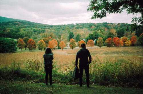 storm king, from a year ago