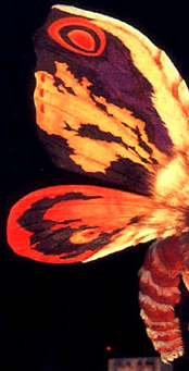 mylittlekaiju-blog - Mothra - Wings Appreciation