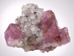 bijoux-et-mineraux:  Raspberry-colored Fluorite