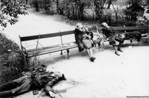 April 1945, murder-suicide in Vienna, photographed as the Red Army entered the Austrian capital. During the Allies’ advance into Nazi territory, mass suicides became commonplace.  Ph: Yevgeny Khaldei 