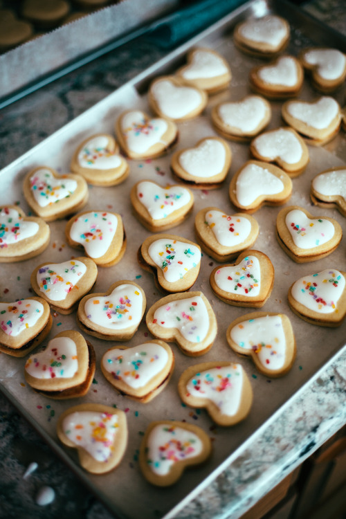 sweetoothgirl:  bismark