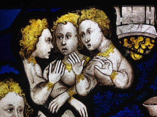 Up close and personal
I made these images today and they are quite special. The expressive medieval faces - and a pair of hands - are part of the stained-glass “Great East Windows” at York Minster and they date from 1408. Not many people have seen...