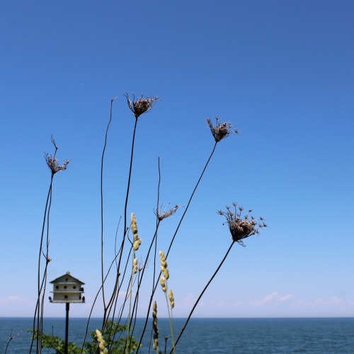 Lake Erie 6-6-16