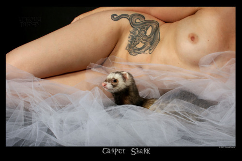 actuallyuniquenudes:  Carpet shark.#ArchivePicOfTheDay by Unique Nudes