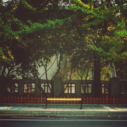streetevens:  大连旅顺口区太阳沟景区。