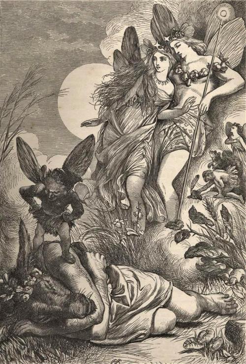  ‘Oberon, Titania, Puck and Bottom’ from'A Midsummer Night’s Dream by H. C. S elou